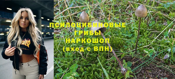 стаф Волоколамск
